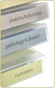 anatomy and physiology - pathology and disease - nutrition