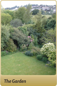 The Garden