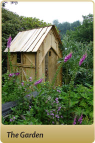 The Garden
